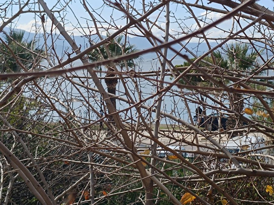 Photo 306160543