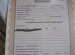 Foto 306606979