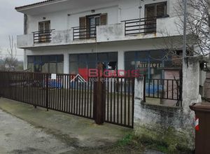 Μονοκατοικία προς πώληση Παλαιόκαστρο (Σκοτούσσα) 240 τ.μ. Ισόγειο 2 Υπνοδωμάτια