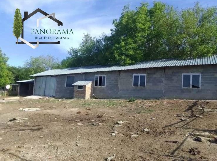 Снимка 307270648