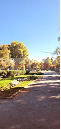 Снимка 307317679