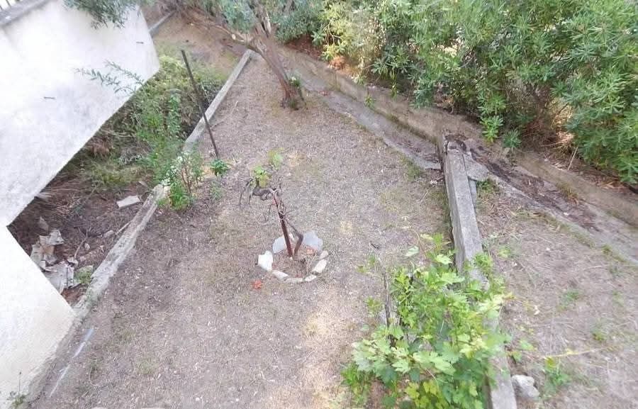 Снимка 307506397