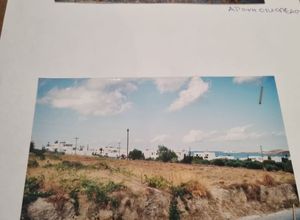 Plot Paroikia
