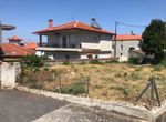Foto 307736371