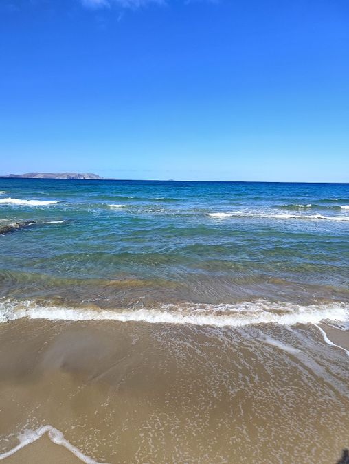 Fotografie 308105173