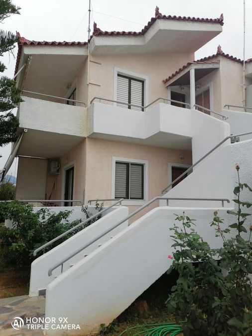 Снимка 308164930