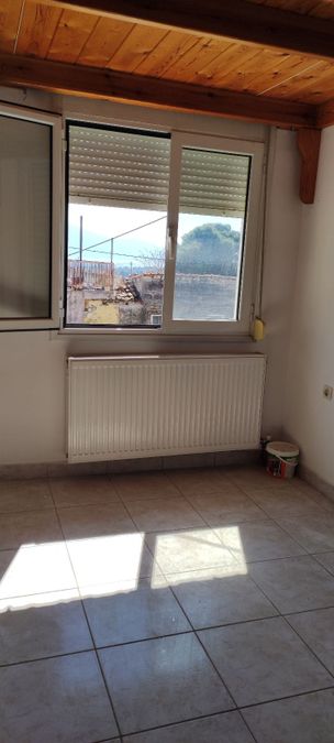 Photo 308208031