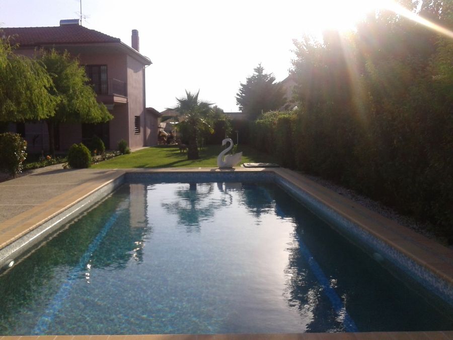 Photo 308858302