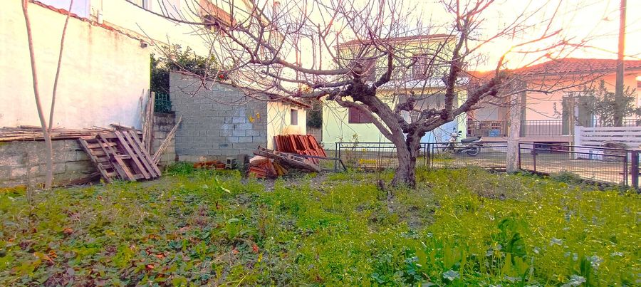 Photo 308960347