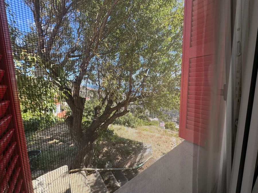 Photo 308980546