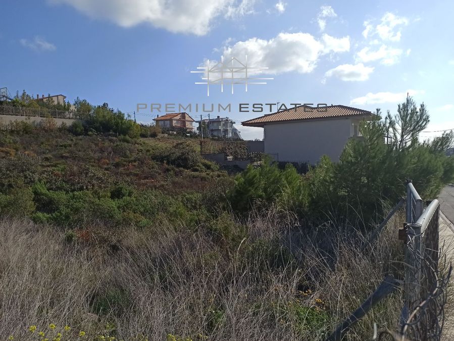 Photo 309521641