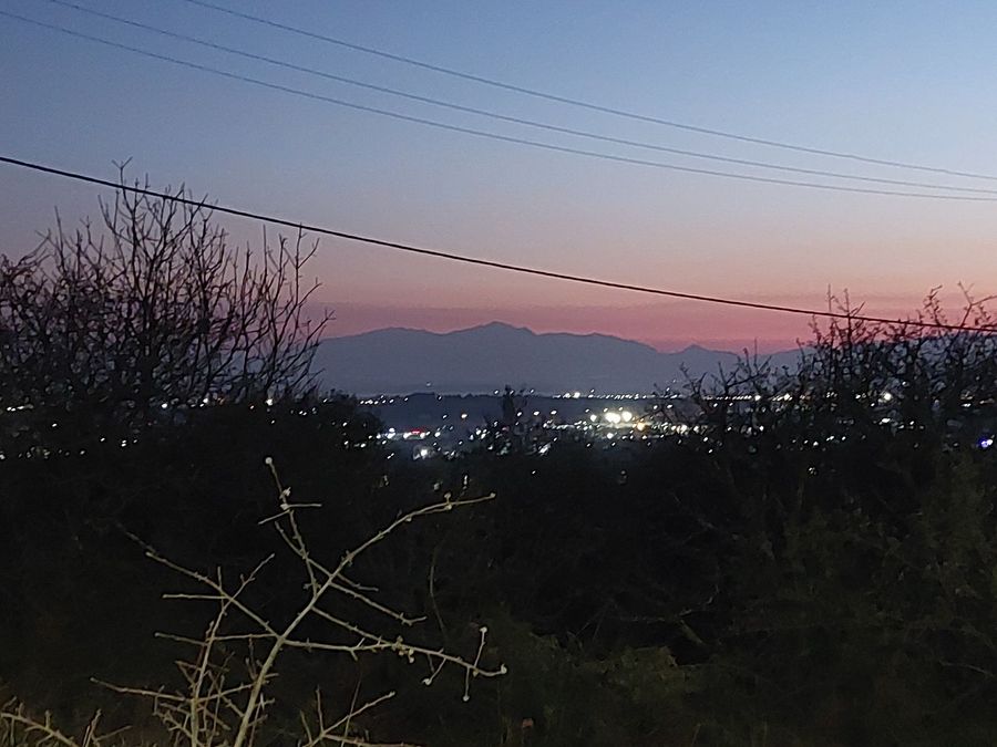 Photo 309737029