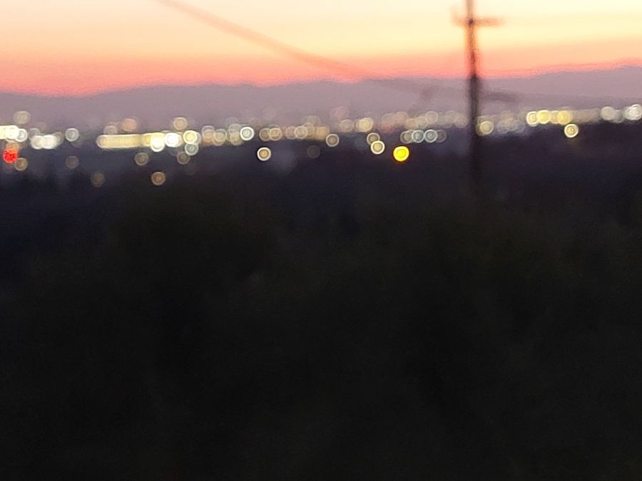 Photo 309737038