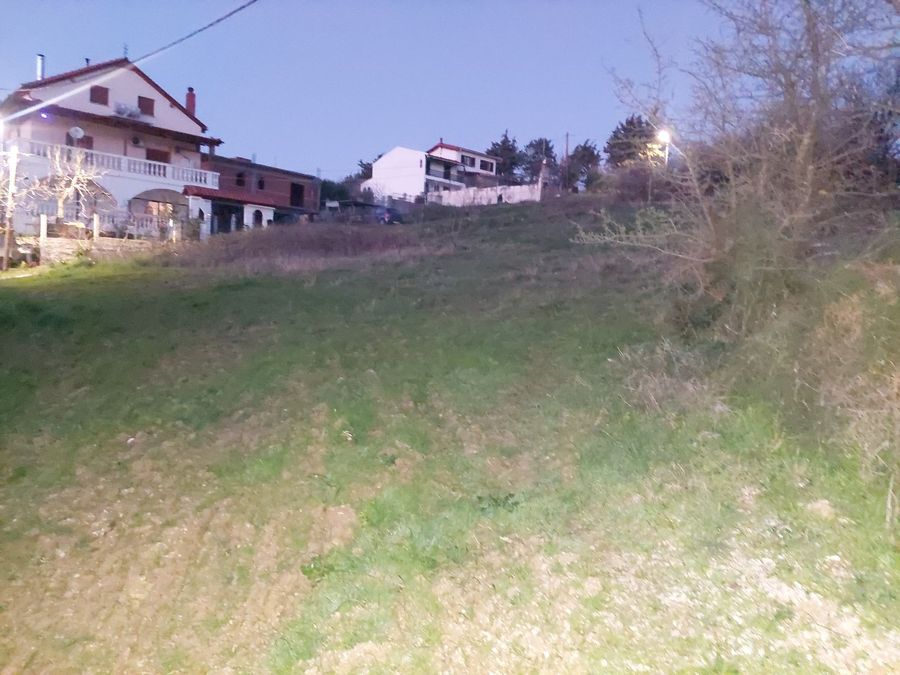 Photo 309737044