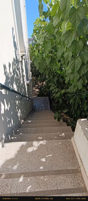 Photo 310187359