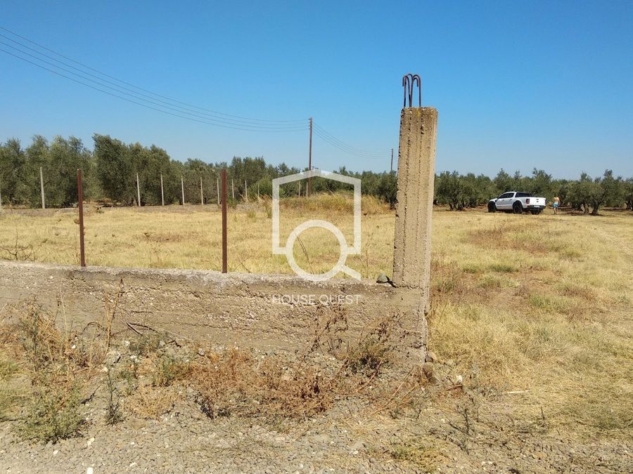 Photo 310451818