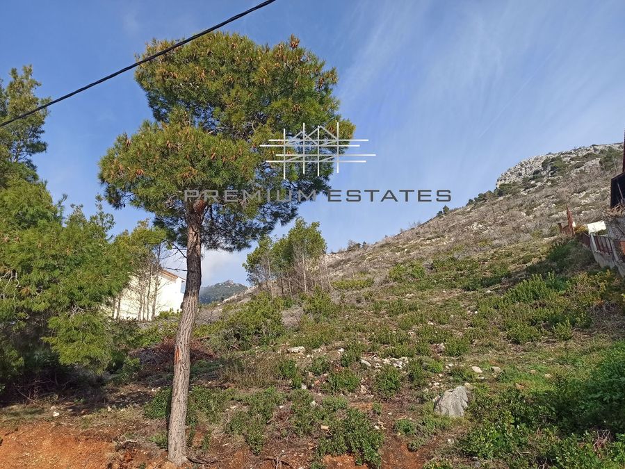 صورة فوتوغرافية 310470220