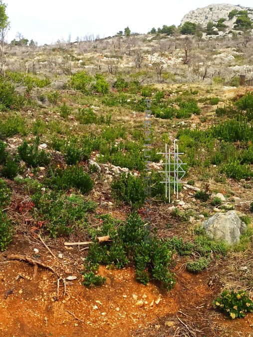 صورة فوتوغرافية 310470226