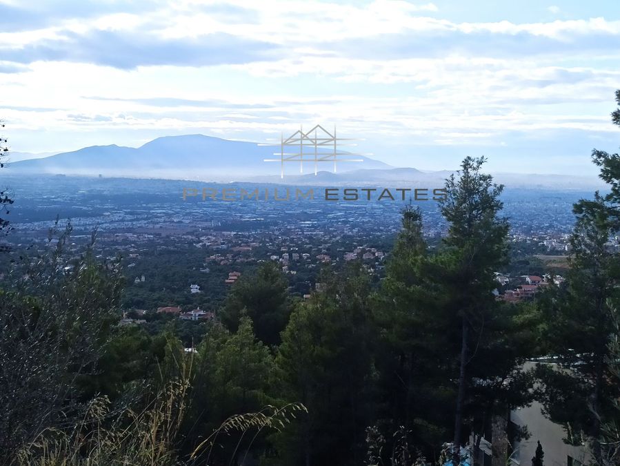 صورة فوتوغرافية 310470229