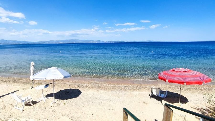 Снимка 310471603