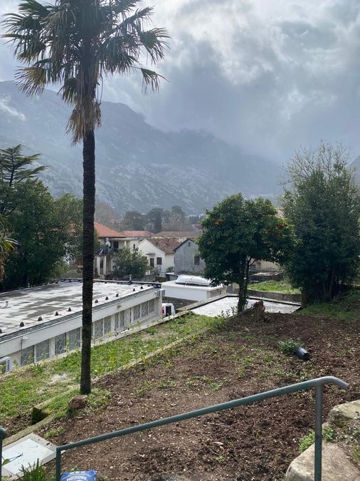 Fotografija 310594213