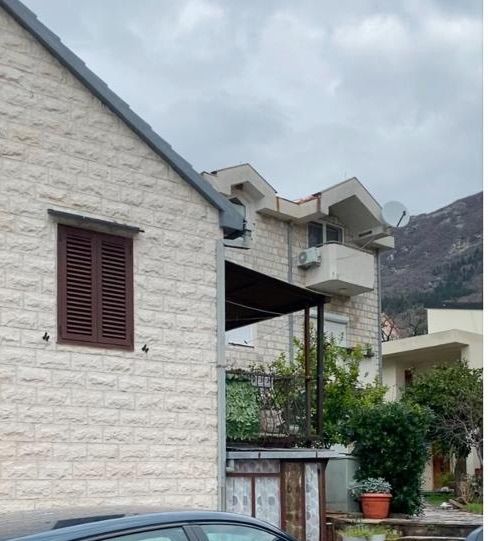 Fotografija 310785058