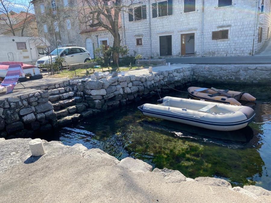 Fotografija 310788163