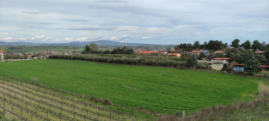 Photo 310959976