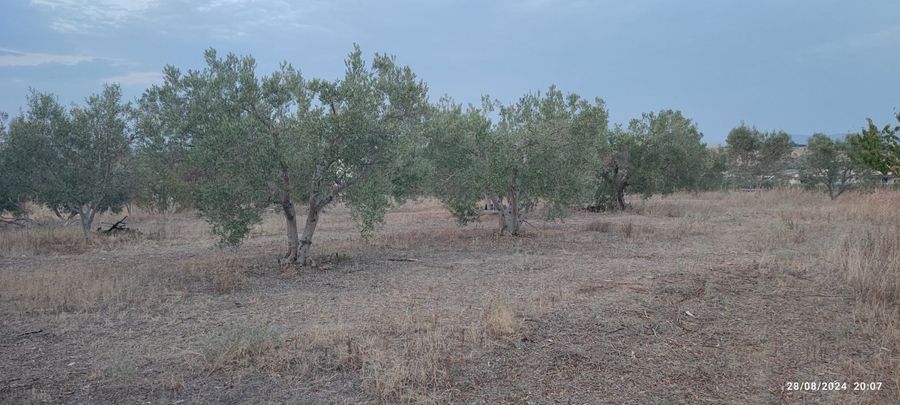Photo 311006551