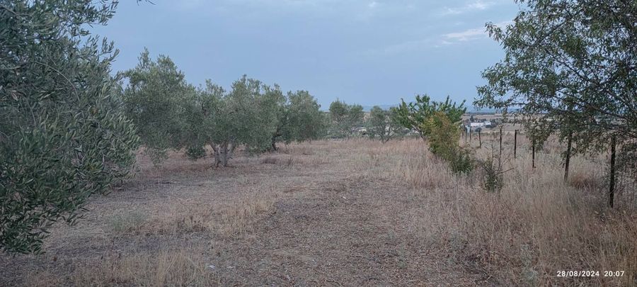 Photo 311006563
