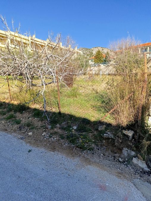 Photo 311112385