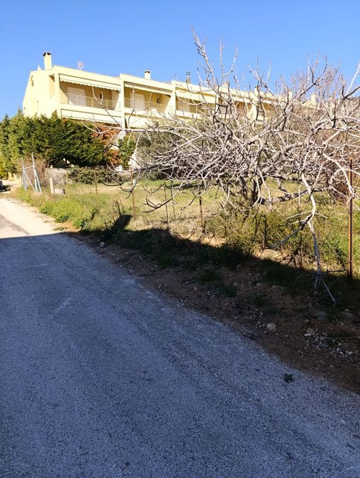 Photo 311112391