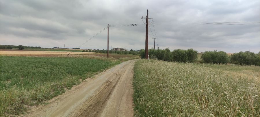 Photo 311114770