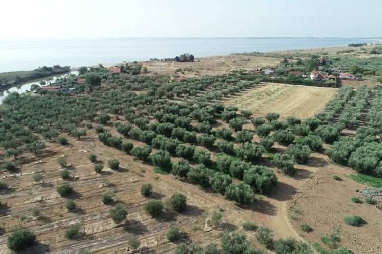 Снимка 311290156