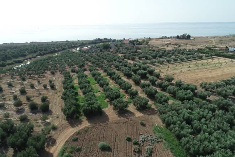 Снимка 311290483