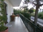 Photo 311582095