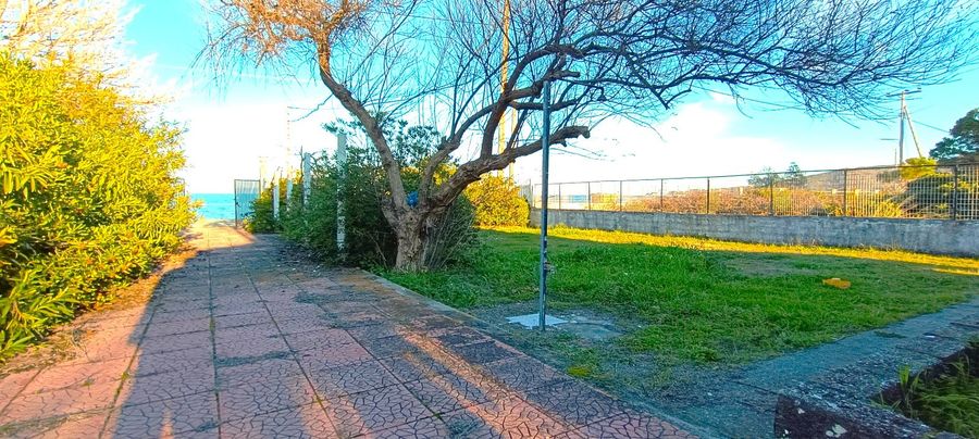 Photo 311618041