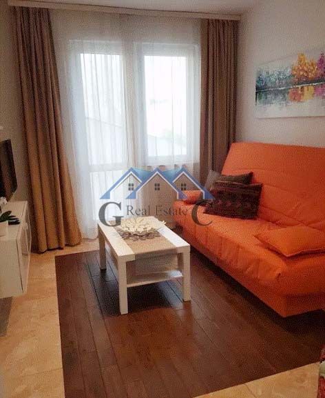 Снимка 311920324