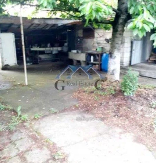 Снимка 311926501