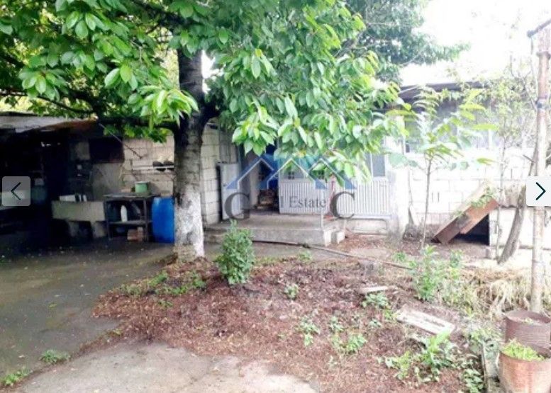 Снимка 311926504