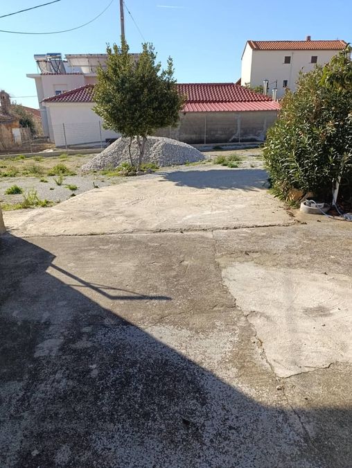 Photo 312036319