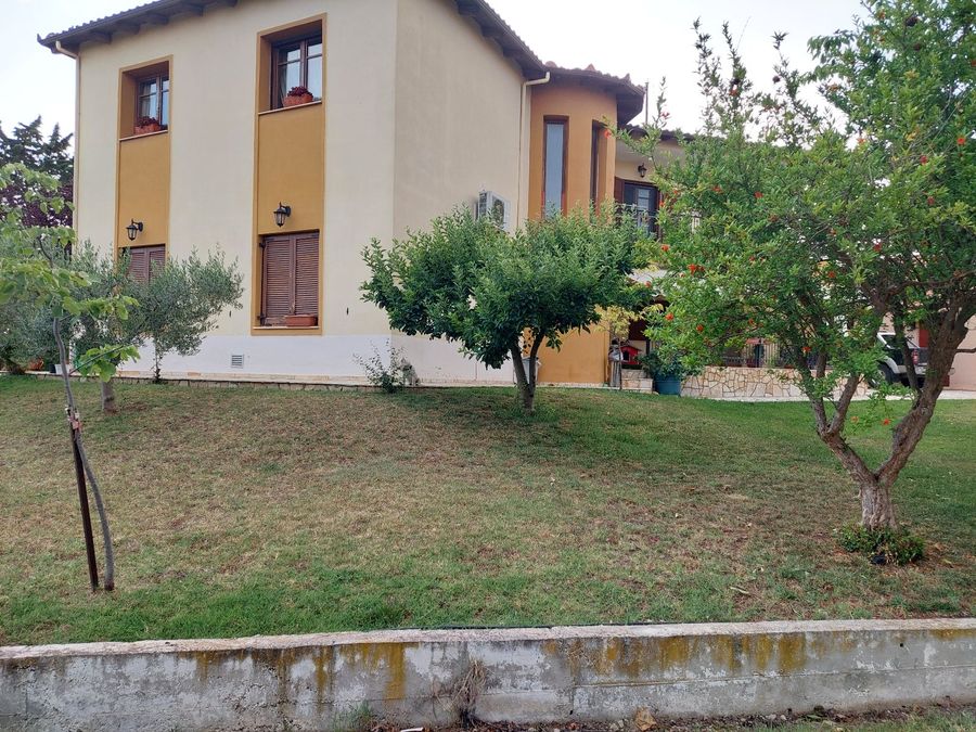 Photo 312065929