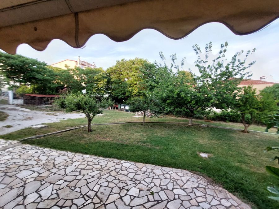 Photo 312066115