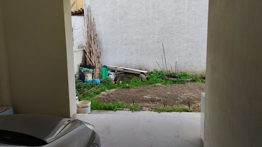 Photo 312188017