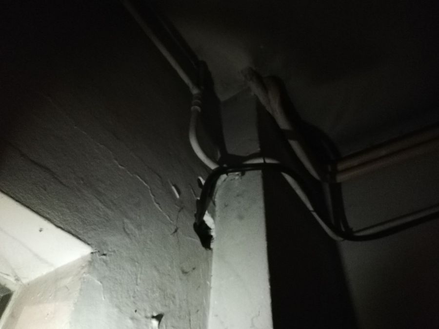 Photo 312235303