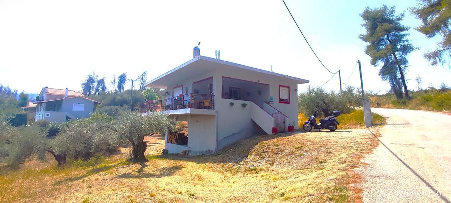 Photo 312279889