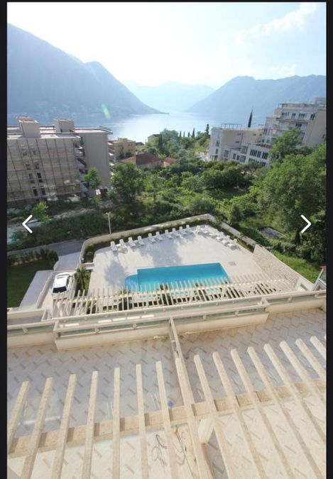 Fotografija 312463093