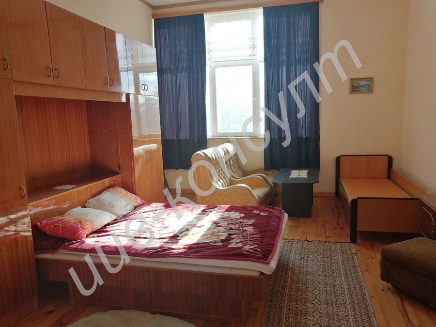 Снимка 313361242