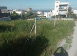 Photo 313843276