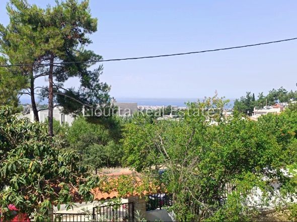 Fotografías 314356489